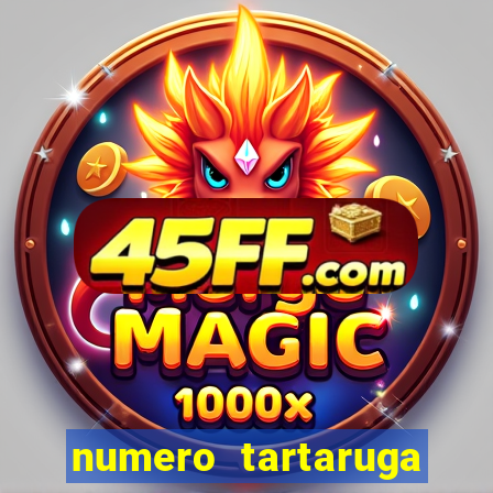 numero tartaruga jogo do bicho